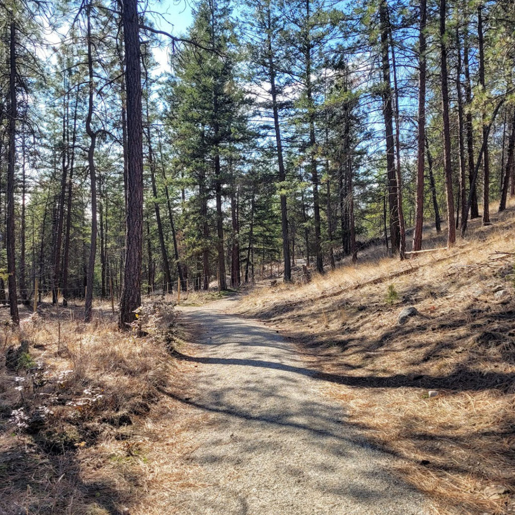 hiking-trails-near-UBCO