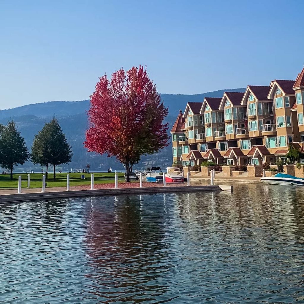 Should You Build or Renovate Your Vacation Rental Kelowna