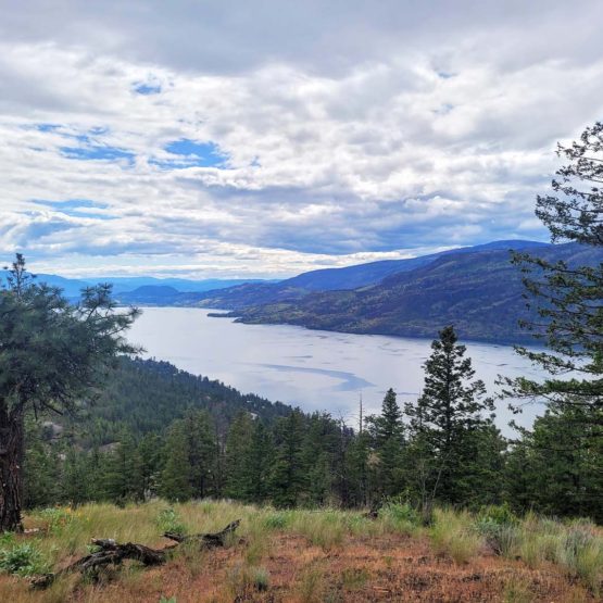 custom waterfront home builder in kelowna