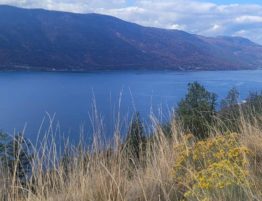 when is the best time to build a house in kelowna