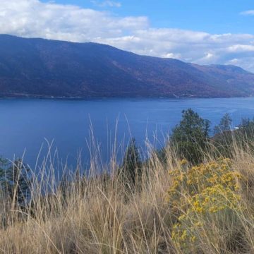 when is the best time to build a house in kelowna