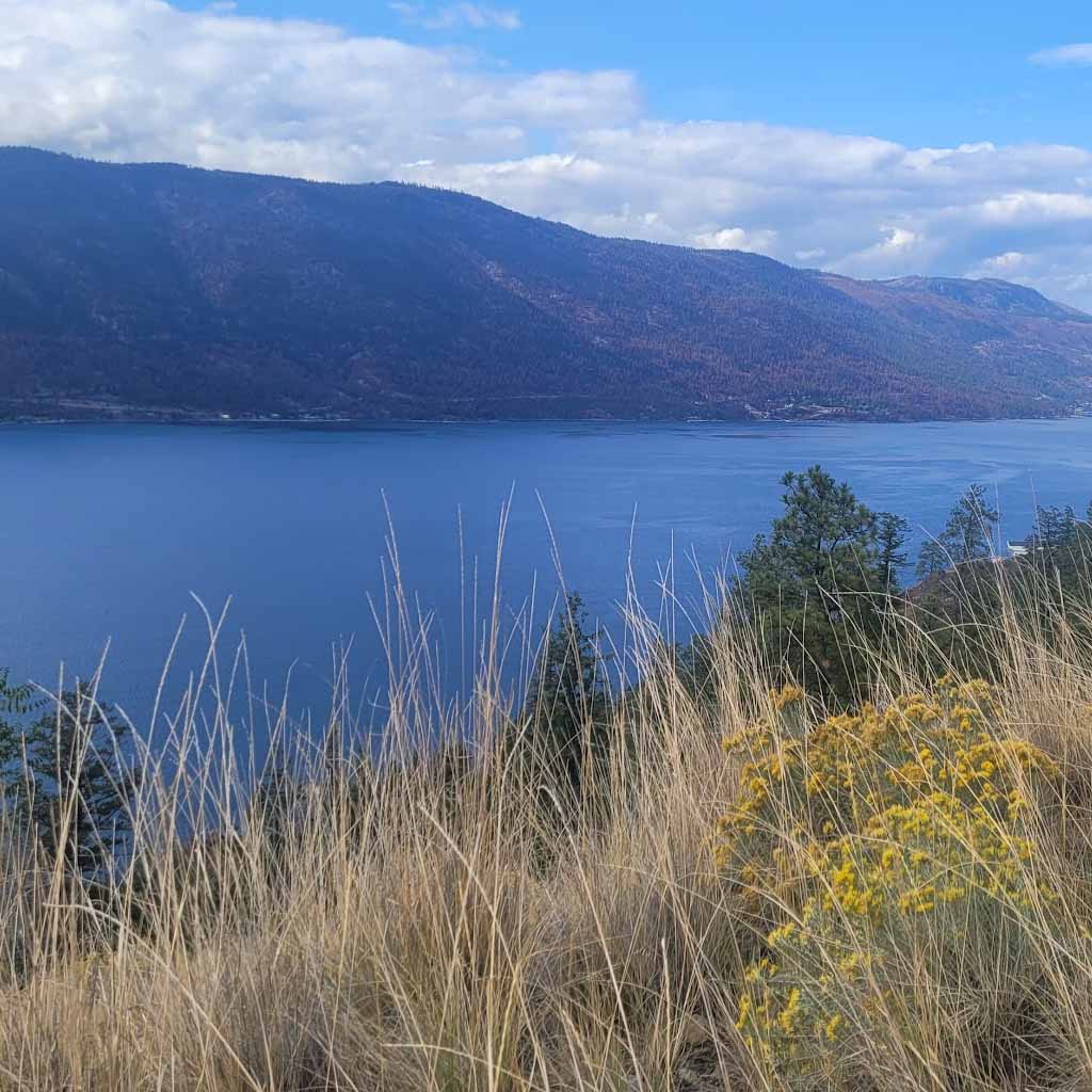 when is the best time to build a house in kelowna